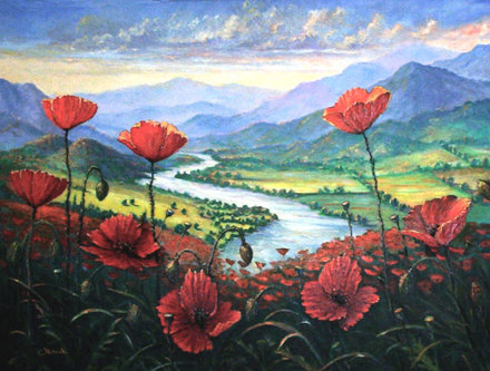Poppies river valley provence france landscape