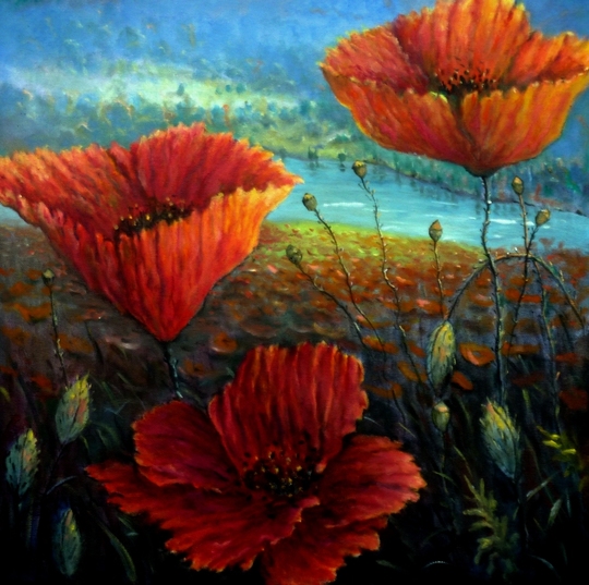 Painting Poppy field provence france 