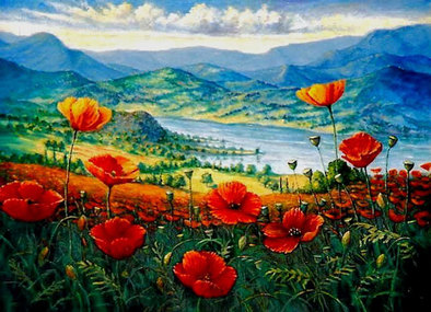 Poppies at the river landscape provence france