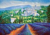 lavender field Aurel Provence France